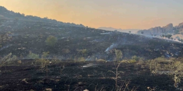 diyarbakirda-merada-baslayan-yangin-ormanlik-alana-yayildi-SOMjZqt8.jpg
