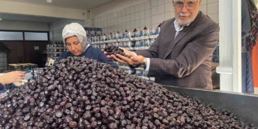 her-6-sofralik-zeytinden-birini-bursa-ve-balikesir-uretecek-XDc8cD8B.jpg
