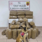 tokatta-340-kilo-kacak-tutun-ele-gecirildi-HWF9BRmJ.jpg
