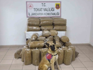 tokatta-340-kilo-kacak-tutun-ele-gecirildi-HWF9BRmJ.jpg