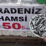denize-kiyisi-olmayan-sehirde-hamsinin-kilosu-50-tlye-dustu-vatandas-poset-poset-aldi-2TSsVSFg.jpg