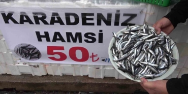 denize-kiyisi-olmayan-sehirde-hamsinin-kilosu-50-tlye-dustu-vatandas-poset-poset-aldi-2TSsVSFg.jpg