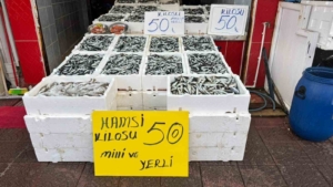 rizede-hamsinin-fiyati-sevenlerinin-yuzunu-gulduruyor-iRL93Ig2.jpg