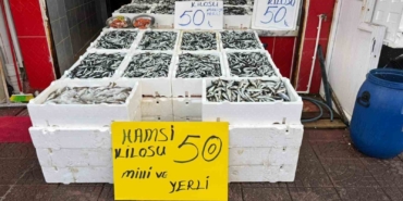 rizede-hamsinin-fiyati-sevenlerinin-yuzunu-gulduruyor-iRL93Ig2.jpg