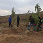 sivasta-58-bin-fidan-toprakla-bulusturuldu-p6vWWzxE.jpg